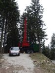 03.04.14_Ruschwald_15.JPG