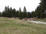 03.04.14_Ruschwald_23.JPG