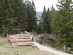 03.04.14_Ruschwald_1.JPG