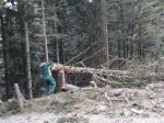 03.04.14_Ruschwald_16.JPG