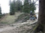 03.04.14_Ruschwald_9.JPG