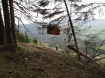 03.04.14_Ruschwald_22.JPG