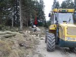 03.04.14_Ruschwald_7.JPG
