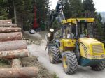 03.04.14_Ruschwald_4.JPG