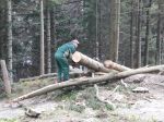 03.04.14_Ruschwald_12.JPG