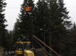 03.04.14_Ruschwald_6.JPG