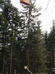 03.04.14_Ruschwald_11.JPG