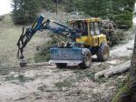03.04.14_Ruschwald_10.JPG