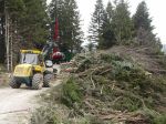 03.04.14_Ruschwald_8.JPG